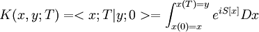 K(x,y;T) = <x;T|y;0> = \int_{x(0)=x}^{x(T)=y} e^{i S[x]} Dx \,
