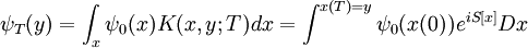 \psi_T(y) = \int_{x} \psi_0(x) K(x,y;T) dx = \int^{x(T)=y} \psi_0(x(0)) e^{i S[x]} Dx \,