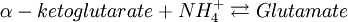 \alpha -ketoglutarate + NH_4^+ \rightleftarrows Glutamate