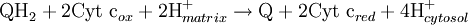 \mbox{QH}_2 + \mbox{2Cyt c}_{ox} + \mbox{2H}^+_{matrix} \rightarrow \mbox{Q} + \mbox{2Cyt c}_{red} + \mbox{4H}^+_{cytosol} \,