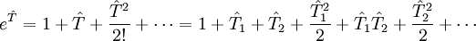 e^{\hat{T}} = 1 + \hat{T} + \frac{\hat{T}^2}{2!} + \cdots = 1 + \hat{T}_1 + \hat{T}_2 + \frac{\hat{T}_1^2}{2} + \hat{T}_1\hat{T}_2 + \frac{\hat{T}_2^2}{2} + \cdots