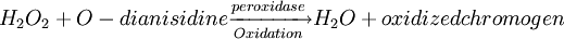 H_{2}O_2 + O-dianisidine\xrightarrow[Oxidation] {peroxidase} H_2O + oxidized chromogen