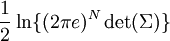 \frac{1}{2}\ln\{(2\pi e)^{N} \det(\Sigma)\}