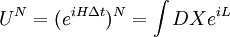 U^N = (e^{i H \Delta t})^N = \int DX e^{iL} \,