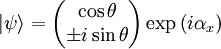 |\psi\rangle  =   \begin{pmatrix} \cos\theta    \\ \pm i\sin\theta   \end{pmatrix} \exp \left ( i \alpha_x \right )