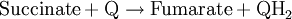 \mbox{Succinate} + \mbox{Q} \rightarrow \mbox{Fumarate} + \mbox{QH}_2 \,