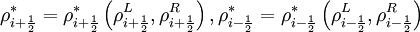 \rho^*_{i + \frac{1}{2}} = \rho^*_{i + \frac{1}{2}}  \left( \rho^L_{i + \frac{1}{2}} , \rho^R_{i + \frac{1}{2}}  \right),    \rho^*_{i - \frac{1}{2}} = \rho^*_{i - \frac{1}{2}}  \left( \rho^L_{i - \frac{1}{2}} , \rho^R_{i - \frac{1}{2}}  \right)