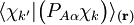 \langle\chi_{k'}|\big(P_{A\alpha}\chi_k\big)\rangle_{(\mathbf{r})}