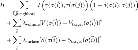 \begin{align} H = &  \sum_{\vec i, \vec j \text{neighbors}} J\left(\tau(\sigma(\vec i)), \tau(\sigma(\vec j))\right) \left(1 - \delta(\sigma(\vec i), \sigma(\vec j))\right) \\ + & \sum_{\vec i} \lambda_\text{volume}[V(\sigma(\vec i)) - V_\text{target}(\sigma(\vec i))]^2\\ + &  \sum_{\vec i} \lambda_\text{surface}[S(\sigma(\vec i)) - S_\text{target}(\sigma(\vec i))]^2\\ \end{align}