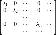 \begin{bmatrix} \lambda_1 & 0 & \cdots & 0 & \cdots \\ 0 & \lambda_2 & \cdots & 0 & \cdots\\ & & \cdots &  \\ 0 & 0 & \cdots &  \lambda_n & \cdots \\ & & \cdots & \cdots \end{bmatrix}